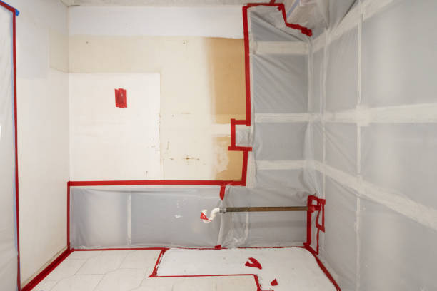  Cleveland Heights, OH Mold Removal Pros