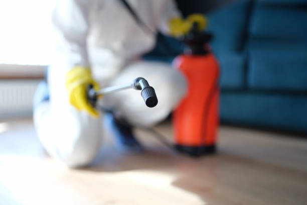 Best Comprehensive Air Testing for Mold Contaminants  in Cleveland Heights, OH