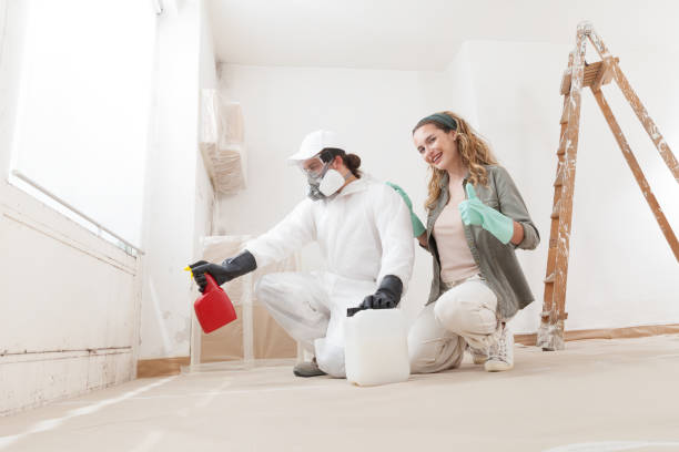 Best Mold Odor Removal Services  in Cleveland Heights, OH
