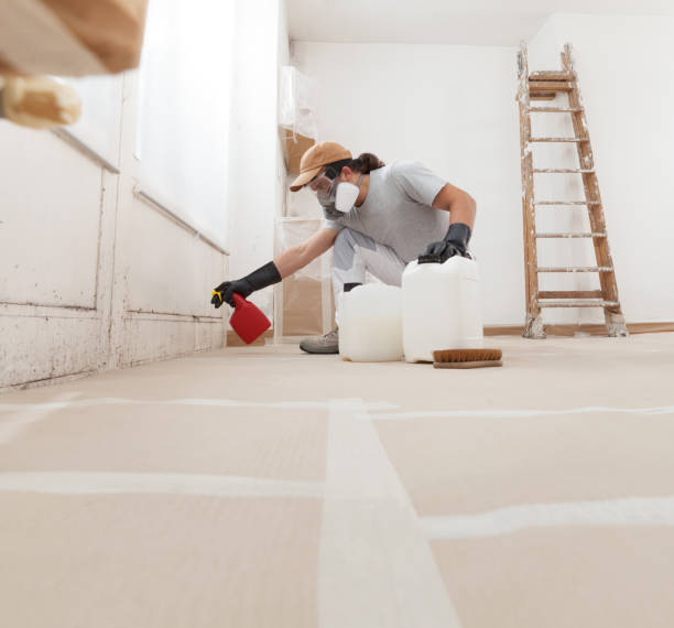 Best Crawl Space Mold Remediation  in Cleveland Heights, OH